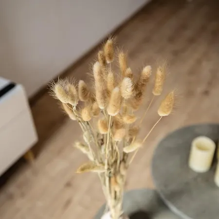Apartment Lehastays - Linkel