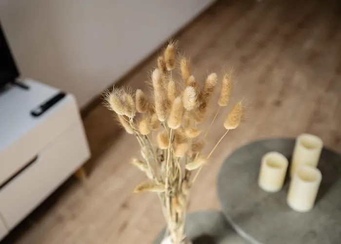 公寓 Lehastays - Linkel